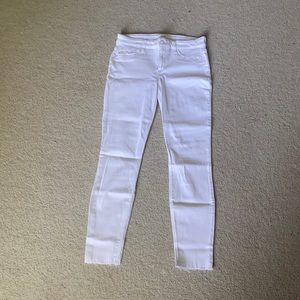 JOES jeans